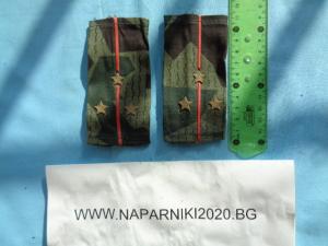 Пагони